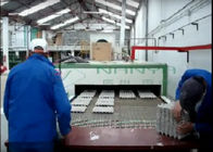 1400Pcs/H αυτόματη μηχανή κατασκευής χαρτοκιβωτίων αυγών χαρτιού/φορμαρισμένη μηχανή πολτού φρούτων δίσκος