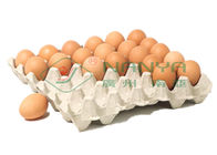 100kw γραμμή παραγωγής δίσκων αυγών