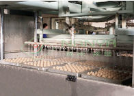 Πολτός χαρτιού 600 ζαρωμένη τετρ.μέτρα μηχανή χαρτοκιβωτίων αυγών