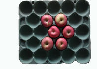 Διασπάσιμος ορθογώνιος χαρτιού δίσκος φρούτων προϊόντων πολτού φορμαρισμένος με 20 κοιλότητες