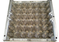 Εξατομικεύσιμος χαλκός πολτού σχήματος 30 φόρμες/κύβοι δίσκων αυγών κοιλοτήτων