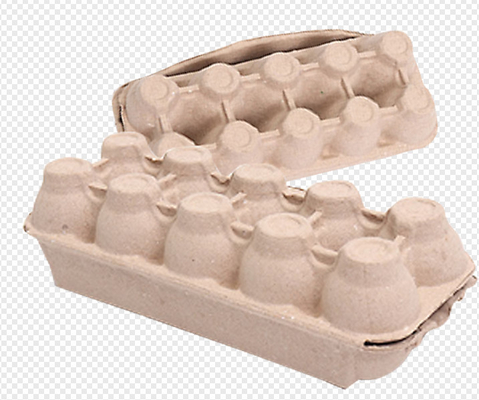 Αυτόματα ιατρική φροντίδα 1400Pcs/H/μηχανή χαρτοκιβωτίων αυγών/φορμαρισμένη μηχανή πολτού