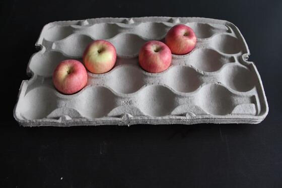 Μέσος δίσκος αυγών εγγράφου ικανότητας ανακύκλωσης που κατασκευάζει τη μηχανή με το στεγνωτήρα