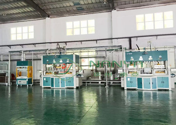 φορμαρισμένη μηχανή πολτού 250kw Thermoforming για την εσωτερική συσκευασία στολιδιών