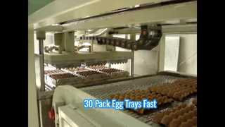 Μικρή αυτόματη μηχανή χύτευσης πολτού για δίσκο αυγών/μηχανή μικρών δίσκων αυγών/μηχανή δίσκου αυγών 30 συσκευασμένων