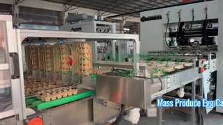 Πλήρως αυτόματη μηχανή παρασκευής χαρτοκιβωτίων αυγών/ Δίσκος αυγών μαζικής παραγωγής/ Αμχίνη παρασκευής χαρτοκιβωτίων